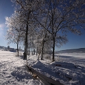 Lac de Joux - 091